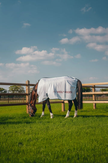The Ultimate Guide to Choosing the Best Saddle Pads for Show Jumping & Dressage