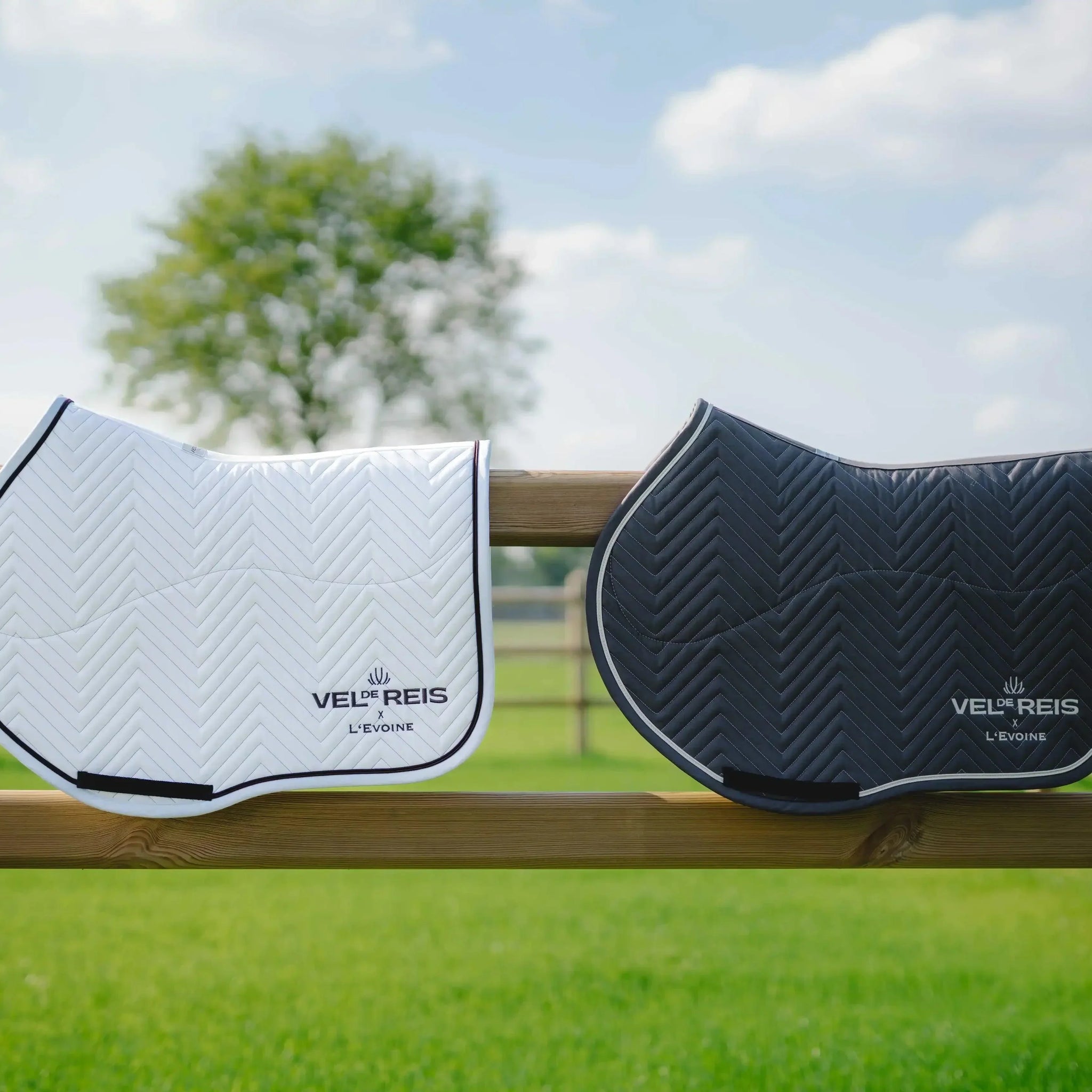 The Ultimate Guide to Equestrian Saddle Pads – VEL DE REIS