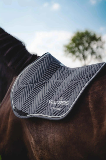 Does My Horse Need a Winter Blanket? Fleece vs. Turnout Guide