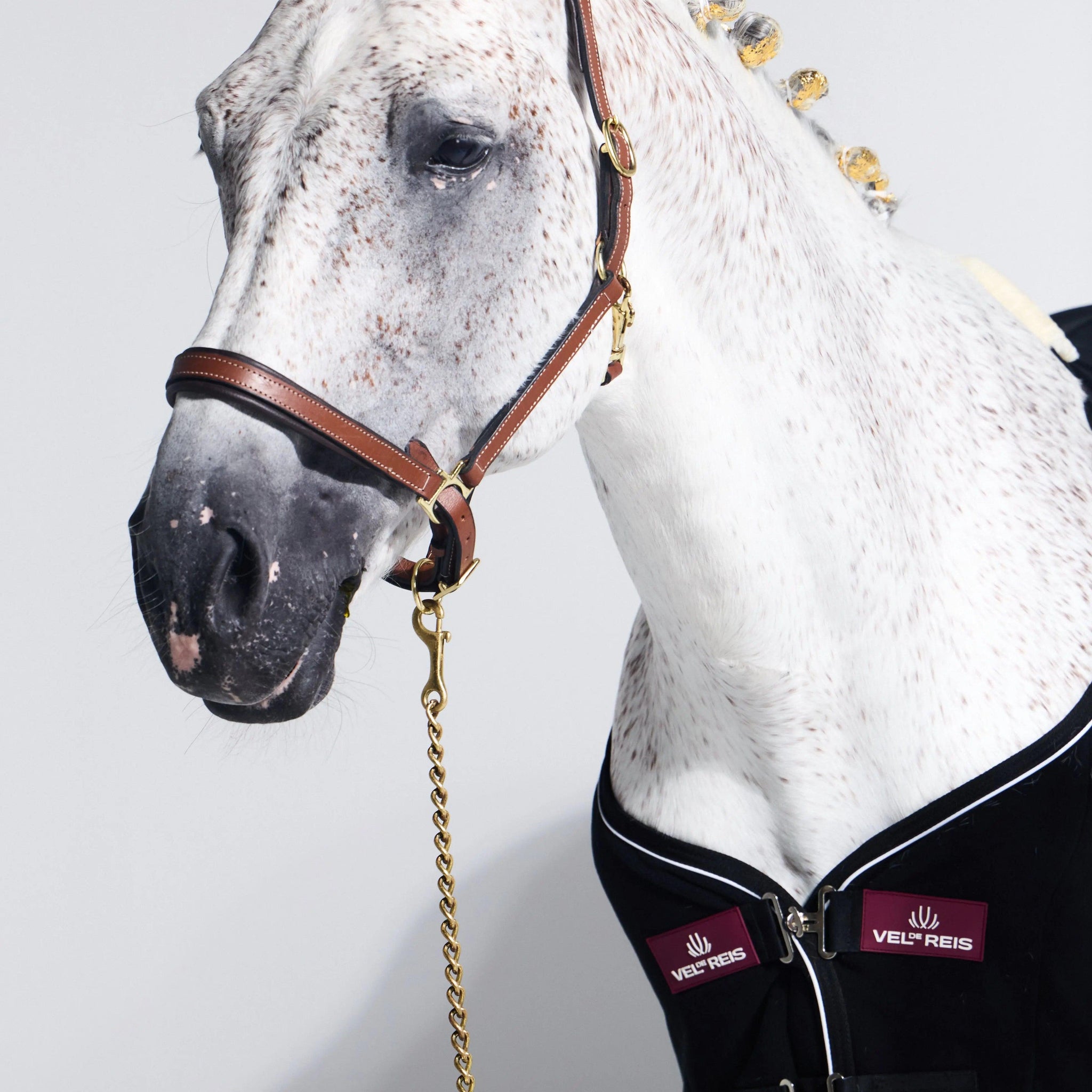 Horse Gear Collection - VEL DE REIS EQUESTRIAN
