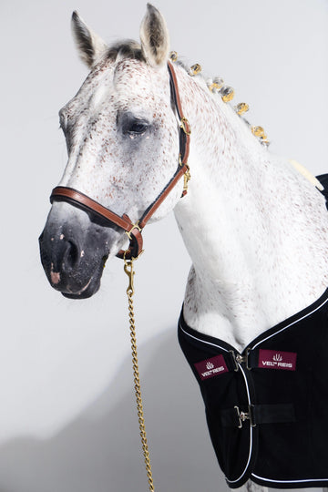 Horse Gear Collection - VEL DE REIS EQUESTRIAN