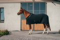 Horse wearing a black rug standing in front of a building with large windows.