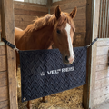 Horse in a stable with a VEL DE REIS Stable Guard 