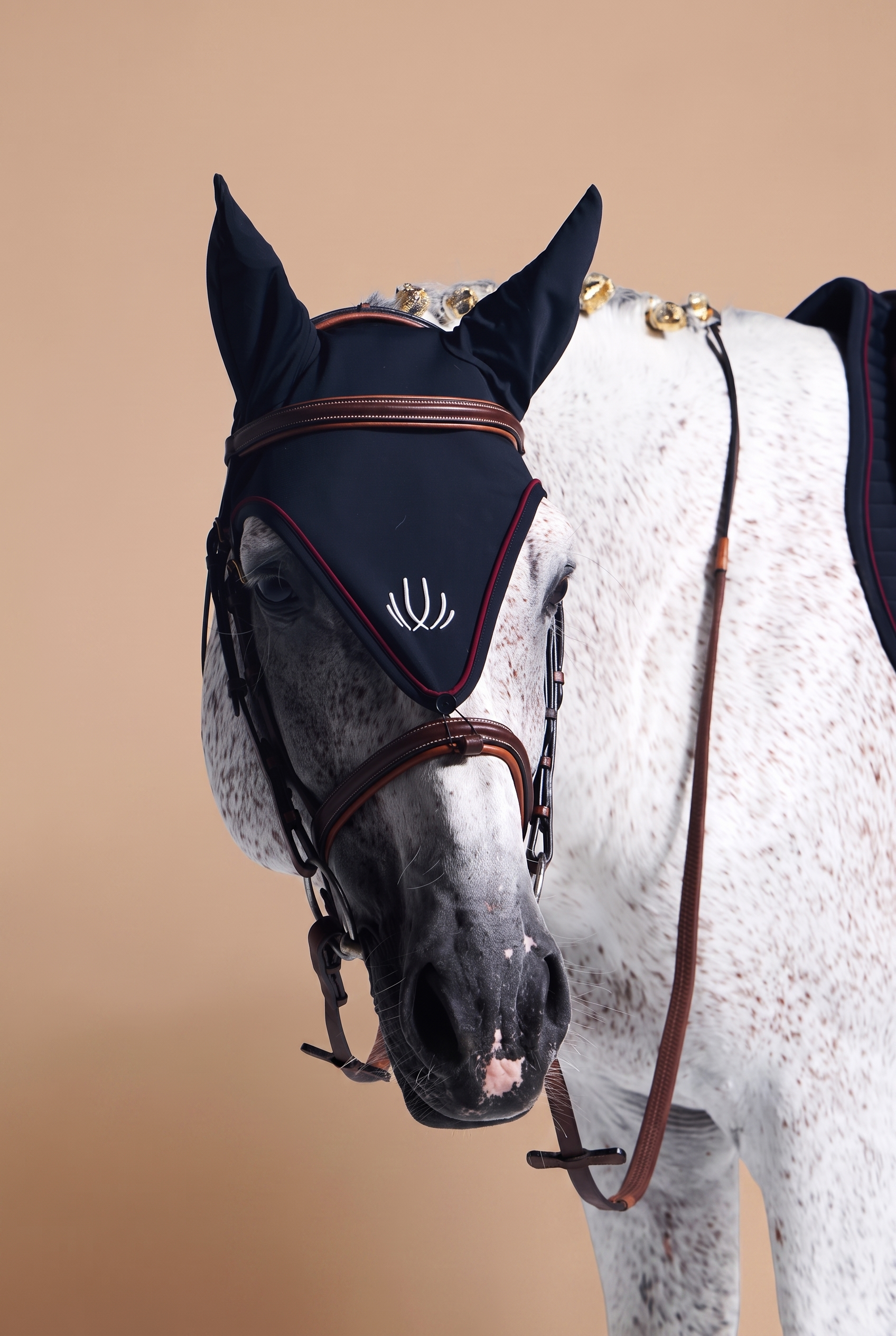 A close-up of a white and gray spotted horse wearing a dark navy fly veil and brown leather bridle against a solid beige background.